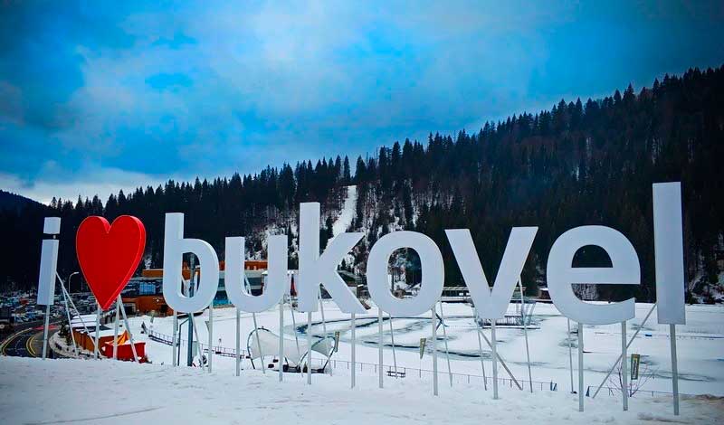 Купить ель буковельская литая